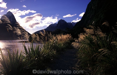 beautiful;beauty;bluff;bluffs;calm;calmness;cliff;cliffs;coast;coastal;coastline;fiord;fiords;fjord;fjords;majestic;middle-earth;mountain;mountains;natural;nature;peak;peaks;reflection;reflections;scene;scenic;sea;snow;snowy;sounds;south-west;southland;still;stillness;summit;summits;te-wahipounamu-south_west-new-zealand-world-hertitage-area;water