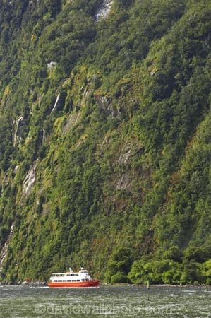 boat;boats;bush;coast;coastal;coastline;color;colors;colour;colours;cruise;cruises;fiord;fiordland-national-park;fiords;fjord;fjords;forest;forests;grandeur;green;launch;launches;majestic;majesty;Milford-Sound;moss;mountainside;mountainsides;native-bush;natural;nature;New-Zealand;red-boat;red-boats;scene;scenery;scenic;sound;sounds;South-Island;south-west;te-wahipounamu-south_west-new;te-waihipounamusouth-west-new;tour-boat;tour-boats;tourism;tourist;tourist-boat;tourist-boats;tourists;trees;water;world-heritage-area