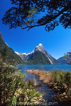 alpine;altitude;beautiful;beauty;beech-tree;beech-trees;bluff;bluffs;calm;calmness;cliff;cliffs;cloud;clouds;coast;coastal;coastline;coastlines;coasts;fiord;fiordland;Fiordland-National-Park;fiords;fjord;fjords;glacial;high-altitude;majestic;middle-earth;Milford-Sound;Mitre-Peak;mount;mountain;mountain-peak;mountainous;mountains;mountainside;mt;mt.;national-park;national-parks;natural;nature;New-Zealand;ocean;peak;peaks;reflection;reflections;scene;scenic;sea;shore;shoreline;shorelines;shores;sky;snow;snow-capped;snow_capped;snowcapped;snowy;sound;sounds;South-Island;south-west;southland;steep;still;stillness;summit;summits;te-wahipounamu;te-wahipounamu-south_west-new;te-wahipounamu-south_west-new;water;world-heirtage-site;world-heritage-area