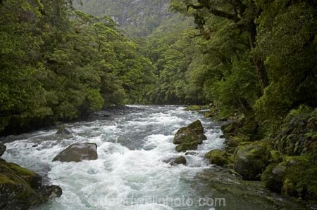brook;brooks;creek;creeks;fiordland;Fiordland-N.P;fiordland-national-park;flow;milford-road;n.z.;national-park;National-parks;new-zealand;nz;rapid;rapids;river;rivers;S.I.;SI;South-Island;South-West-New-Zealand-World-Her;Southland;stream;streams;te-wahipounamu;te-wahipounamu-south_west-new;The-Chasm;water;wet;white-water;Whitewater;world-heirtage-site;world-heritage-area