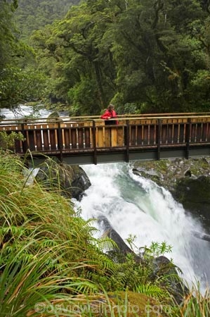 bad-weather;beautiful;beauty;Beech-Forest;bridge;bridges;brook;brooks;bush;creek;creeks;endemic;fiordland;Fiordland-N.P;fiordland-national-park;flow;foot-bridge;foot-bridges;footbridge;footbridges;forest;forests;green;hiking-track;hiking-tracks;holiday;holidaying;Holidays;milford-road;n.z.;national-park;National-parks;native;native-bush;natives;natural;nature;new-zealand;Nothofagus;nz;pedestrian-bridge;pedestrian-bridges;rain;rain-forest;rain-forests;rain_forest;rain_forests;rainforest;rainforests;raining;rainy;rapids;S.I.;scene;scenic;SI;South-Island;South-West-New-Zealand-World-Her;southern-beeches;Southland;stream;streams;te-wahipounamu;te-wahipounamu-south_west-new;The-Chasm;tourism;tourist;tourists;track;tracks;travel;traveler;traveling;traveller;travelling;tree;trees;Vacation;Vacationers;vacationing;Vacations;walking-track;walking-tracks;water;waterfall;waterfalls;wet;white-water;Whitewater;wood;woods;world-heirtage-site;world-heritage-area