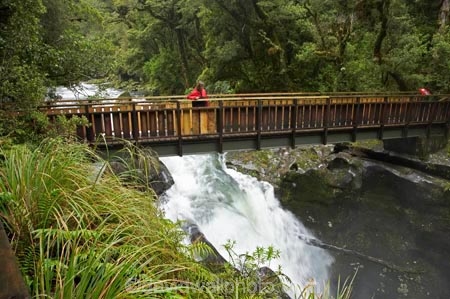 bad-weather;beautiful;beauty;Beech-Forest;bridge;bridges;brook;brooks;bush;creek;creeks;endemic;fiordland;Fiordland-N.P;fiordland-national-park;flow;foot-bridge;foot-bridges;footbridge;footbridges;forest;forests;green;hiking-track;hiking-tracks;holiday;holidaying;Holidays;milford-road;n.z.;national-park;National-parks;native;native-bush;natives;natural;nature;new-zealand;Nothofagus;nz;pedestrian-bridge;pedestrian-bridges;rain;rain-forest;rain-forests;rain_forest;rain_forests;rainforest;rainforests;raining;rainy;rapids;S.I.;scene;scenic;SI;South-Island;South-West-New-Zealand-World-Her;southern-beeches;Southland;stream;streams;te-wahipounamu;te-wahipounamu-south_west-new;The-Chasm;tourism;tourist;tourists;track;tracks;travel;traveler;traveling;traveller;travelling;tree;trees;Vacation;Vacationers;vacationing;Vacations;walking-track;walking-tracks;water;waterfall;waterfalls;wet;white-water;Whitewater;wood;woods;world-heirtage-site;world-heritage-area