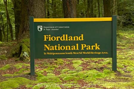 beautiful;beauty;Beech-Forest;bush;endemic;fiordland;Fiordland-N.P;fiordland-national-park;Fiordland-NP;forest;forests;glade;green;lush;milford-road;moss;mosses;n.z.;national-park;National-parks;native;native-bush;natives;natural;nature;new-zealand;Nothofagus;nz;rain-forest;rain-forests;rain_forest;rain_forests;rainforest;rainforests;S.I.;scene;scenic;SI;sign;signs;South-Island;South-West-New-Zealand-World-Her;southern-beeches;Southland;te-wahipounamu;te-wahipounamu-south_west-new;timber;tree;tree-trunk;tree-trunks;trees;trunk;trunks;verdant;wood;woods;world-heirtage-site;world-heritage-area