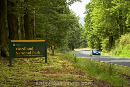 automobile;automobiles;beautiful;beauty;Beech-Forest;bend;bends;bush;car;cars;corner;corners;driving;endemic;fiordland;Fiordland-N.P;fiordland-national-park;Fiordland-NP;forest;forests;glade;green;highway;highways;lush;milford-road;moss;mosses;n.z.;national-park;National-parks;native;native-bush;natives;natural;nature;new-zealand;Nothofagus;nz;open-road;open-roads;rain-forest;rain-forests;rain_forest;rain_forests;rainforest;rainforests;road;road-trip;roads;S.I.;scene;scenic;SI;sign;signs;South-Island;South-West-New-Zealand-World-Her;southern-beeches;Southland;te-wahipounamu;te-wahipounamu-south_west-new;timber;tranportation;transport;transportation;travel;traveling;travelling;tree;tree-trunk;tree-trunks;trees;trip;Trips;trunk;trunks;vehicle;vehicles;verdant;wood;woods;world-heirtage-site;world-heritage-area