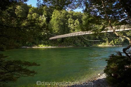 beautiful;beauty;Beech-Forest;bridge;bridges;bush;endemic;fiordland;Fiordland-N.P;fiordland-national-park;Fiordland-NP;foot-bridge;foot-bridges;footbridge;footbridges;forest;forests;great-walks;green;high;hiking;hiking-track;hiking-tracks;Kepler-Track;n.z.;national-park;National-parks;native;native-bush;natives;natural;nature;new-zealand;Nothofagus;nz;pedestrian-bridge;pedestrian-bridges;rain-forest;rain-forests;rain_forest;rain_forests;rainforest;rainforests;river;rivers;S.I.;scene;scenic;SI;South-Island;South-West-New-Zealand-World-Her;southern-beeches;Southland;suspension-bridge;suspension-bridges;swing-bridge;swing-bridges;te-wahipounamu;te-wahipounamu-south_west-new;track;tracks;tramping;tramping-track;tree;trees;trek;treking;trekking;Waiau-River;walking;walking-track;walking-tracks;wire-bridge;wire-bridges;wood;woods;world-heirtage-site;world-heritage-area