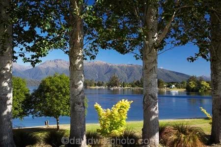 Fiordland;lake;Lake-Te-Anau;lakes;N.Z.;New-Zealand;NZ;S.I.;SI;South-Island;Southland;Te-Anau;tre-trunk;tree;tree-trunks;trees