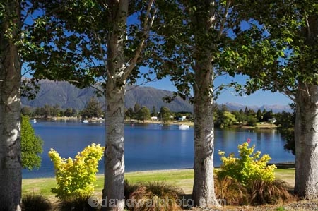 Fiordland;lake;Lake-Te-Anau;lakes;N.Z.;New-Zealand;NZ;S.I.;SI;South-Island;Southland;Te-Anau;tre-trunk;tree;tree-trunks;trees