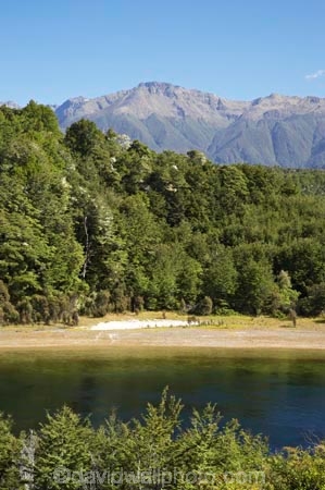 altitude;beautiful;beauty;Beech-Forest;bush;bush-line;bush-lines;bush_line;bush_lines;bushline;bushlines;endemic;fiordland;Fiordland-N.P;fiordland-national-park;Fiordland-NP;forest;forests;green;Kepler-Track;n.z.;national-park;National-parks;native;native-bush;natives;natural;nature;new-zealand;Nothofagus;nz;rain-forest;rain-forests;rain_forest;rain_forests;rainforest;rainforests;river;rivers;S.I.;scene;scenic;SI;snow-line;snow-lines;snow_line;snow_lines;snowline;snowlines;South-Island;South-West-New-Zealand-World-Her;southern-beeches;Southland;te-wahipounamu;te-wahipounamu-south_west-new;tree;tree-line;tree-lines;tree_line;tree_lines;treeline;treelines;trees;Waiau-River;wood;woods;world-heirtage-site;world-heritage-area