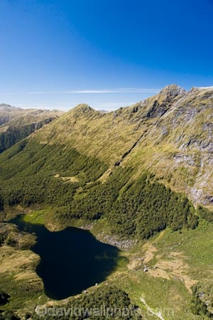 aerial;aerial-photo;aerial-photography;aerial-photos;aerial-view;aerial-views;aerials;air-to-air;alp;alpine;alps;altitude;beautiful;beauty;Beech-Forest;bush;bush-line;bush-lines;bush_line;bush_lines;bushline;bushlines;endemic;Fiordland;Fiordland-N.P;Fiordland-National-Park;Fiordland-NP;forest;forests;green;high-altitude;Kepler-Mountains;lake;lakes;mount;mountain;mountain-lake;mountain-lakes;mountainous;mountains;mountainside;mt;mt.;N.Z.;national-park;national-parks;native;native-bush;natives;natural;nature;New-Zealand;Nothofagus;NZ;peak;peaks;rain-forest;rain-forests;rain_forest;rain_forests;rainforest;rainforests;range;ranges;S.I.;scene;scenic;SI;Small-Lake;snow-line;snow-lines;snow_line;snow_lines;snowline;snowlines;South-Island;south-west-new-zealand-world-heritage-area;southern-beeches;Southland;summit;summits;tarn;tarns;te-wahi-pounamu;te-wahipounamu;te-wahipounamu-south_west-new-zealand-world-heritage-area;timber;tree;tree-line;tree-lines;tree_line;tree_lines;treeline;treelines;trees;Tutu-Burn;water;wood;woods;world-heirtage-site;world-heirtage-sites;world-heritage-area;world-heritage-areas