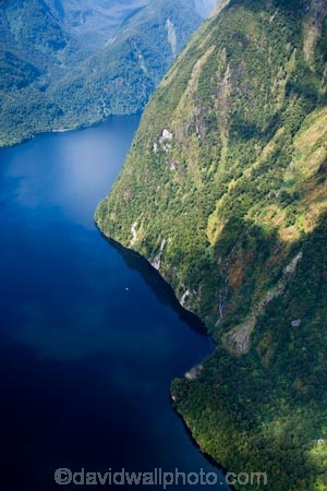 aerial;aerial-photo;aerial-photography;aerial-photos;aerial-view;aerial-views;aerials;air-to-air;alp;alpine;alps;altitude;beautiful;beauty;Beech-Forest;bluff;bluffs;bush;cliff;cliffs;coast;coastal;coastline;coastlines;coasts;Commander-Peak;Commander-Pk;Commander-Pk.;Doubful-Sound;endemic;Fiord;Fiordland;Fiordland-N.P;Fiordland-National-Park;Fiordland-NP;Fiords;Fjord;Fjords;forest;forests;green;Hall-Arm;high-altitude;mount;mountain;mountainous;mountains;mountainside;mountainsides;mt;mt.;N.Z.;national-park;national-parks;native;native-bush;natives;natural;nature;New-Zealand;Nothofagus;NZ;ocean;rain-forest;rain-forests;rain_forest;rain_forests;rainforest;rainforests;range;ranges;S.I.;scene;scenic;sea;shore;shoreline;shorelines;shores;SI;Sound;Sounds;South-Island;south-west-new-zealand-world-heritage-area;southern-beeches;Southland;steep;te-wahi-pounamu;te-wahipounamu;te-wahipounamu-south_west-new-zealand-world-heritage-area;timber;tree;trees;wood;woods;world-heirtage-site;world-heirtage-sites;world-heritage-area;world-heritage-areas