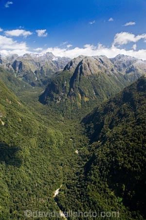 aerial;aerial-photo;aerial-photography;aerial-photos;aerial-view;aerial-views;aerials;air-to-air;alp;alpine;alps;altitude;Awe-Burn;beautiful;beauty;Beech-Forest;bush;endemic;Fiordland;Fiordland-N.P;Fiordland-National-Park;Fiordland-NP;forest;forests;green;high-altitude;mount;mountain;mountainous;mountains;mountainside;mt;mt.;N.Z.;national-park;national-parks;native;native-bush;natives;natural;nature;New-Zealand;Nothofagus;NZ;rain-forest;rain-forests;rain_forest;rain_forests;rainforest;rainforests;range;ranges;S.I.;scene;scenic;SI;South-Island;south-west-new-zealand-world-heritage-area;southern-beeches;Southland;te-wahi-pounamu;te-wahipounamu;te-wahipounamu-south_west-new-zealand-world-heritage-area;timber;tree;trees;wood;woods;world-heirtage-site;world-heirtage-sites;world-heritage-area;world-heritage-areas