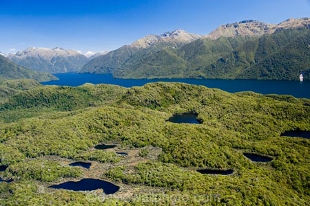 aerial;aerial-photo;aerial-photography;aerial-photos;aerial-view;aerial-views;aerials;air-to-air;alp;alpine;alps;altitude;beautiful;beauty;Beech-Forest;bush;endemic;Fiordland;Fiordland-N.P;Fiordland-National-Park;Fiordland-NP;forest;forests;green;high-altitude;lake;Lake-Te-Anau;lakes;mount;mountain;mountain-lake;mountain-lakes;mountainous;mountains;mountainside;mt;mt.;N.Z.;national-park;national-parks;native;native-bush;natives;natural;nature;New-Zealand;Nothofagus;NZ;rain-forest;rain-forests;rain_forest;rain_forests;rainforest;rainforests;range;ranges;S.I.;scene;scenic;SI;South-Fiord;South-Island;south-west-new-zealand-world-heritage-area;southern-beeches;Southland;tarn;tarns;te-wahi-pounamu;te-wahipounamu;te-wahipounamu-south_west-new-zealand-world-heritage-area;timber;tree;trees;water;wood;woods;world-heirtage-site;world-heirtage-sites;world-heritage-area;world-heritage-areas