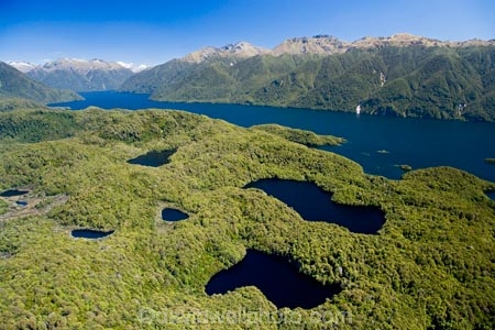 aerial;aerial-photo;aerial-photography;aerial-photos;aerial-view;aerial-views;aerials;air-to-air;alp;alpine;alps;altitude;beautiful;beauty;Beech-Forest;bush;endemic;Fiordland;Fiordland-N.P;Fiordland-National-Park;Fiordland-NP;forest;forests;green;high-altitude;lake;Lake-Te-Anau;lakes;mount;mountain;mountain-lake;mountain-lakes;mountainous;mountains;mountainside;mt;mt.;N.Z.;national-park;national-parks;native;native-bush;natives;natural;nature;New-Zealand;Nothofagus;NZ;rain-forest;rain-forests;rain_forest;rain_forests;rainforest;rainforests;range;ranges;S.I.;scene;scenic;SI;South-Fiord;South-Island;south-west-new-zealand-world-heritage-area;southern-beeches;Southland;tarn;tarns;te-wahi-pounamu;te-wahipounamu;te-wahipounamu-south_west-new-zealand-world-heritage-area;timber;tree;trees;water;wood;woods;world-heirtage-site;world-heirtage-sites;world-heritage-area;world-heritage-areas