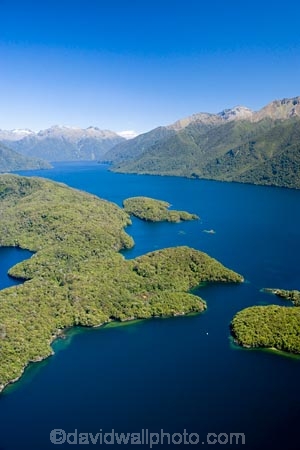 aerial;aerial-photo;aerial-photography;aerial-photos;aerial-view;aerial-views;aerials;air-to-air;alp;alpine;alps;altitude;beautiful;beauty;Beech-Forest;bush;bush-line;bush-lines;bush_line;bush_lines;bushline;bushlines;Dome-Islands;East-Cove;endemic;Fiordland;Fiordland-N.P;Fiordland-National-Park;Fiordland-NP;forest;forests;green;high-altitude;island;islands;lake;Lake-Te-Anau;lakes;mount;mountain;mountain-lake;mountain-lakes;mountainous;mountains;mountainside;mt;mt.;Mussel-Cove;N.Z.;national-park;national-parks;native;native-bush;natives;natural;nature;New-Zealand;Nothofagus;NZ;rain-forest;rain-forests;rain_forest;rain_forests;rainforest;rainforests;range;ranges;S.I.;scene;scenic;SI;snow-line;snow-lines;snow_line;snow_lines;snowline;snowlines;South-Fiord;South-Island;south-west-new-zealand-world-heritage-area;southern-beeches;Southland;tarn;tarns;te-wahi-pounamu;te-wahipounamu;te-wahipounamu-south_west-new-zealand-world-heritage-area;timber;tree;tree-line;tree-lines;tree_line;tree_lines;treeline;treelines;trees;water;wood;woods;world-heirtage-site;world-heirtage-sites;world-heritage-area;world-heritage-areas