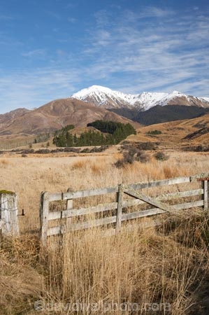 agricultural;agriculture;country;countryside;farm;farming;farmland;farms;field;fields;gate;gates;gateway;gateways;meadow;meadows;Mossburn;Mount-Hamilton;Mt-Hamilton;Mt.-Hamilton;N.Z.;New-Zealand;NZ;paddock;paddocks;pasture;pastures;rural;S.I.;SI;South-Is.;South-Island;Southland;Takitimu-Mountains