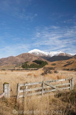 agricultural;agriculture;country;countryside;farm;farming;farmland;farms;field;fields;gate;gates;gateway;gateways;meadow;meadows;Mossburn;Mount-Hamilton;Mt-Hamilton;Mt.-Hamilton;N.Z.;New-Zealand;NZ;paddock;paddocks;pasture;pastures;rural;S.I.;SI;South-Is.;South-Island;Southland;Takitimu-Mountains
