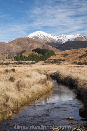 agricultural;agriculture;brook;brooks;country;countryside;creek;creeks;farm;farming;farmland;farms;field;fields;flow;Hamilton-Creek;meadow;meadows;Mossburn;Mount-Hamilton;Mt-Hamilton;Mt.-Hamilton;N.Z.;New-Zealand;NZ;paddock;paddocks;pasture;pastures;rural;S.I.;SI;South-Is.;South-Island;Southland;stream;streams;Takitimu-Mountains;water;wet