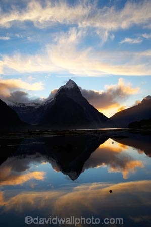 100;9508;beautiful;beauty;bluff;bluffs;calm;calmness;cliff;cliffs;cloud;clouds;coast;coastal;coastline;dusk;evening;fiord;fiordland;Fiordland-N.P;Fiordland-National-Park;Fiordland-NP;Fiords;Fjord;Fjords;foreshore;island;majestic;middle-earth;milford;milford-sound;mitre;mitre-peak;mountain;mountains;N.Z.;national;national-park;National-parks;natural;nature;new;new-zealand;nightfall;NZ;park;peak;peaks;perfect-reflection;perfect-reflections;placid;Quiet;reflection;reflections;S.I.;scene;scenic;sea;serene;shore;shoreline;SI;sky;smooth;sound;sounds;south;South-Is.;South-Island;south-west;south-west-new-zealand-world-her;south_west-new-zealand;south_west-New-Zealand-World-He;Southland;still;stillness;summit;summits;sunset;sunsets;te-wahipounamu;te-wahipounamu-south_west-new;tranquil;twilight;water;World-Heritage-Area;World-Heritage-Site;zealand