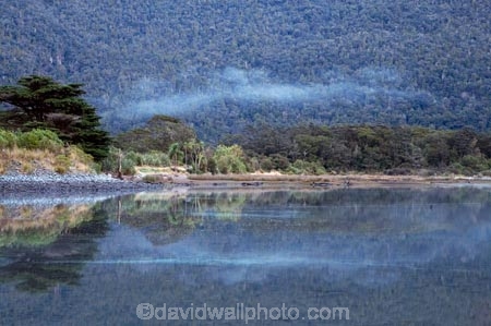 beautiful;beauty;Beech-Forest;bush;coast;coastal;coastline;endemic;fiordland;Fiordland-N.P;Fiordland-National-Park;Fiordland-NP;foreshore;forest;forests;green;island;Milford-Sound;mist;mists;misty;N.Z.;national-park;National-parks;native;native-bush;natives;natural;nature;new;new-zealand;Nothofagus;NZ;o8l9595;rain-forest;rain-forests;rain_forest;rain_forests;rainforest;rainforests;S.I.;scene;scenic;shore;shoreline;SI;south;South-Is.;South-Island;south-west-new-zealand-world-her;southern-beeches;Southland;te-wahipounamu;te-wahipounamu-south_west-new;timber;tree;trees;wood;woods;World-Heritage-Area;World-Heritage-Site;zealand