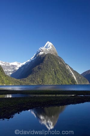 calm;coast;coastal;coastline;fiord;fiordland;Fiordland-N.P;Fiordland-National-Park;Fiordland-NP;Fiords;Fjord;Fjords;foreshore;island;kb1a5558;milford;milford-sound;mitre;mitre-peak;mountain;mountain-peak;mountains;N.Z.;national;national-park;National-parks;new;new-zealand;NZ;park;peak;peaks;placid;Quiet;reflection;reflections;S.I.;serene;shore;shoreline;SI;smooth;snow;snow-capped;snow_capped;snowcapped;sound;sounds;south;South-Is.;South-Island;south-west-new-zealand-world-her;Southland;still;summit;summits;te-wahipounamu;te-wahipounamu-south_west-new;tranquil;water;World-Heritage-Area;World-Heritage-Site;zealand