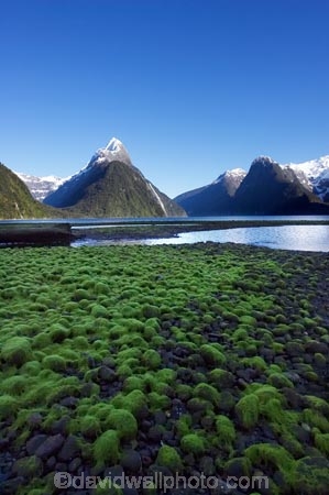 coast;coastal;coastline;fiord;fiordland;Fiordland-N.P;Fiordland-National-Park;Fiordland-NP;Fiords;Fjord;Fjords;island;kb1a5547;milford;milford-sound;mitre;mitre-peak;N.Z.;national;national-park;National-parks;new;new-zealand;NZ;park;peak;peaks;S.I.;SI;sound;sounds;south;South-Is.;South-Island;south-west-new-zealand-world-her;Southland;summit;summits;te-wahipounamu;te-wahipounamu-south_west-new;World-Heritage-Area;World-Heritage-Site;zealand