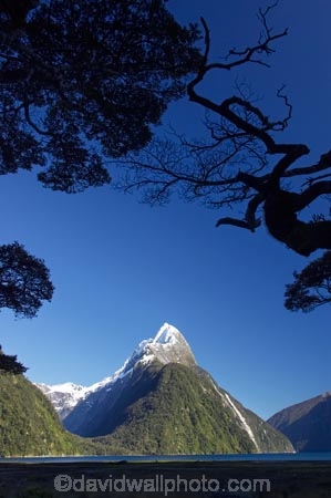 coast;coastal;coastline;fiord;fiordland;Fiordland-N.P;Fiordland-National-Park;Fiordland-NP;Fiords;Fjord;Fjords;island;kb1a5592;milford;milford-sound;mitre;mitre-peak;mountain;mountain-peak;mountains;N.Z.;national;national-park;National-parks;new;new-zealand;NZ;park;peak;peaks;S.I.;SI;snow;snow-capped;snow_capped;snowcapped;sound;sounds;south;South-Is.;South-Island;south-west-new-zealand-world-her;Southland;summit;summits;te-wahipounamu;te-wahipounamu-south_west-new;World-Heritage-Area;World-Heritage-Site;zealand