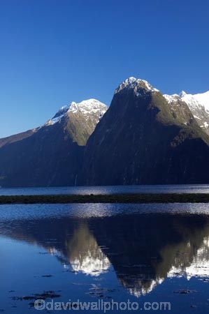 altitude;calm;coast;coastal;coastline;fiordland;Fiordland-N.P;Fiordland-National-Park;Fiordland-NP;foreshore;glacial;high-altitude;island;kb1a5501;kb1a5517;Milford-Sound;mount;mountain;mountain-peak;mountainous;mountains;mountainside;mt;mt.;N.Z.;national-park;National-parks;new;new-zealand;NZ;peak;peaks;placid;Quiet;range;ranges;reflection;reflections;S.I.;serene;shore;shoreline;SI;smooth;snow;snow-capped;snow_capped;snowcapped;snowy;south;South-Is.;South-Island;south-west-new-zealand-world-her;Southland;still;summit;summits;te-wahipounamu;te-wahipounamu-south_west-new;The-Lion;The-Palisades;tranquil;water;World-Heritage-Area;World-Heritage-Site;zealand