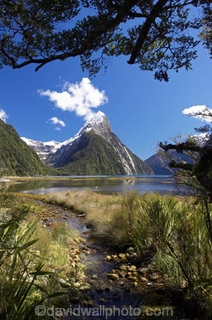 coast;coastal;coastline;fiord;fiordland;Fiordland-N.P;Fiordland-National-Park;Fiordland-NP;Fiords;Fjord;Fjords;island;kb1a5858;milford;milford-sound;mitre;mitre-peak;mountain;mountain-peak;mountains;N.Z.;national;national-park;National-parks;new;new-zealand;NZ;park;peak;peaks;S.I.;SI;snow;snow-capped;snow_capped;snowcapped;sound;sounds;south;South-Is.;South-Island;south-west-new-zealand-world-her;Southland;summit;summits;te-wahipounamu;te-wahipounamu-south_west-new;World-Heritage-Area;World-Heritage-Site;zealand