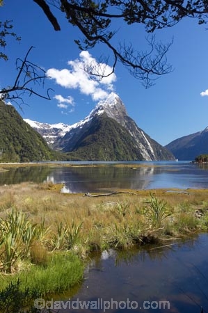 coast;coastal;coastline;fiord;fiordland;Fiordland-N.P;Fiordland-National-Park;Fiordland-NP;Fiords;Fjord;Fjords;island;kb1a5862;milford;milford-sound;mitre;mitre-peak;mountain;mountain-peak;mountains;N.Z.;national;national-park;National-parks;new;new-zealand;NZ;park;peak;peaks;S.I.;SI;snow;snow-capped;snow_capped;snowcapped;sound;sounds;south;South-Is.;South-Island;south-west-new-zealand-world-her;Southland;summit;summits;te-wahipounamu;te-wahipounamu-south_west-new;World-Heritage-Area;World-Heritage-Site;zealand
