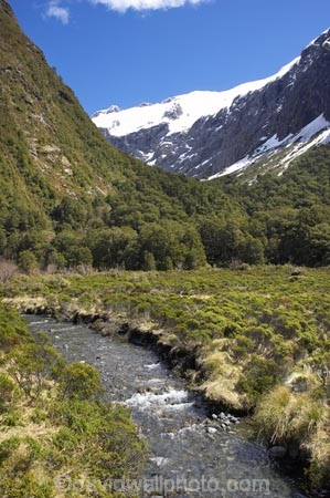 brook;brooks;creek;creeks;fiordland;Fiordland-N.P;Fiordland-National-Park;Fiordland-NP;flow;Hollyford-Valley;island;kb1a5920;Milford-Road;N.Z.;national-park;National-parks;new;new-zealand;NZ;S.I.;SI;south;South-Is.;South-Island;south-west-new-zealand-world-her;Southland;stream;streams;te-wahipounamu;te-wahipounamu-south_west-new;Upper-Hollyford-Valley;water;wet;World-Heritage-Area;World-Heritage-Site;zealand