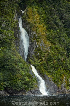 bluff;bluffs;bush;cascade;cascades;cliff;cliffs;Doubtful-Sound;fall;falls;fiord;Fiordland;Fiordland-N.P.;Fiordland-National-Park;Fiordland-NP;fiords;fjord;fjords;forest;forests;N.Z.;national-park;national-parks;native-bush;native-forest;native-forests;native-tree;native-trees;native-woods;natural;nature;New-Zealand;NZ;Patea;S.I.;scene;scenic;SI;South-IS;South-Island;Southland;Sth-Is;Te-Waipounamu;Te-Waipounamu-World-Heritage-Site;tree;trees;UN-world-heritage-area;UN-world-heritage-site;UNESCO-World-Heritage-area;UNESCO-World-Heritage-Site;united-nations-world-heritage-area;united-nations-world-heritage-site;water;water-fall;water-falls;waterfall;waterfalls;wet;wood;woods;world-heritage;world-heritage-area;world-heritage-areas;World-Heritage-Park;World-Heritage-site;World-Heritage-Sites