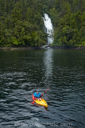 adventure;adventure-tourism;boat;boats;bush;canoe;canoeing;canoes;cascade;cascades;Doubtful-Sound;fall;falls;fiord;Fiordland;Fiordland-N.P.;Fiordland-National-Park;Fiordland-NP;fiords;fjord;fjords;forest;forests;kayak;kayaker;kayakers;kayaking;kayaks;model-release;model-released;MR;N.Z.;national-park;national-parks;native-bush;native-forest;native-forests;native-tree;native-trees;native-woods;natural;nature;New-Zealand;NZ;paddle;paddler;paddlers;paddling;Patea;people;person;S.I.;scene;scenic;sea-kayak;sea-kayaker;sea-kayakers;sea-kayaking;sea-kayaks;SI;South-IS;South-Island;Southland;Sth-Is;Te-Waipounamu;Te-Waipounamu-World-Heritage-Site;tourism;tourist;tourists;tree;trees;UN-world-heritage-area;UN-world-heritage-site;UNESCO-World-Heritage-area;UNESCO-World-Heritage-Site;united-nations-world-heritage-area;united-nations-world-heritage-site;vacation;vacations;water;water-fall;water-falls;waterfall;waterfalls;wet;wood;woods;world-heritage;world-heritage-area;world-heritage-areas;World-Heritage-Park;World-Heritage-site;World-Heritage-Sites