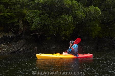 adventure;adventure-tourism;boat;boats;bush;canoe;canoeing;canoes;Doubtful-Sound;fiord;Fiordland;Fiordland-N.P.;Fiordland-National-Park;Fiordland-NP;fiords;fjord;fjords;forest;forests;kayak;kayaker;kayakers;kayaking;kayaks;model-release;model-released;MR;N.Z.;national-park;national-parks;native-bush;native-forest;native-forests;native-tree;native-trees;native-woods;natural;nature;New-Zealand;NZ;paddle;paddler;paddlers;paddling;Patea;people;person;S.I.;sea-kayak;sea-kayaker;sea-kayakers;sea-kayaking;sea-kayaks;SI;South-IS;South-Island;Southland;Sth-Is;Te-Waipounamu;Te-Waipounamu-World-Heritage-Site;tourism;tourist;tourists;tree;trees;UN-world-heritage-area;UN-world-heritage-site;UNESCO-World-Heritage-area;UNESCO-World-Heritage-Site;united-nations-world-heritage-area;united-nations-world-heritage-site;vacation;vacations;water;wood;woods;world-heritage;world-heritage-area;world-heritage-areas;World-Heritage-Park;World-Heritage-site;World-Heritage-Sites