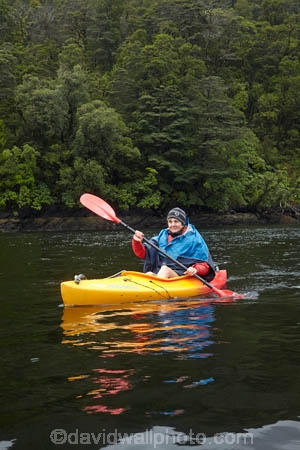 adventure;adventure-tourism;boat;boats;bush;canoe;canoeing;canoes;Doubtful-Sound;fiord;Fiordland;Fiordland-N.P.;Fiordland-National-Park;Fiordland-NP;fiords;fjord;fjords;forest;forests;kayak;kayaker;kayakers;kayaking;kayaks;model-release;model-released;MR;N.Z.;national-park;national-parks;native-bush;native-forest;native-forests;native-tree;native-trees;native-woods;natural;nature;New-Zealand;NZ;paddle;paddler;paddlers;paddling;Patea;people;person;S.I.;sea-kayak;sea-kayaker;sea-kayakers;sea-kayaking;sea-kayaks;SI;South-IS;South-Island;Southland;Sth-Is;Te-Waipounamu;Te-Waipounamu-World-Heritage-Site;tourism;tourist;tourists;tree;trees;UN-world-heritage-area;UN-world-heritage-site;UNESCO-World-Heritage-area;UNESCO-World-Heritage-Site;united-nations-world-heritage-area;united-nations-world-heritage-site;vacation;vacations;water;wood;woods;world-heritage;world-heritage-area;world-heritage-areas;World-Heritage-Park;World-Heritage-site;World-Heritage-Sites