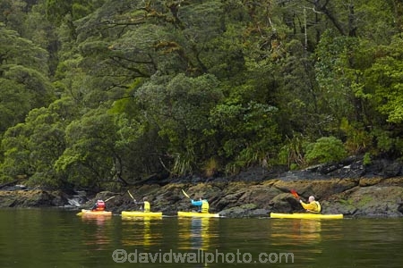 adventure;adventure-tourism;boat;boats;canoe;canoeing;canoes;Doubtful-Sound;fiord;Fiordland;Fiordland-N.P.;Fiordland-National-Park;Fiordland-NP;fiords;fjord;fjords;kayak;kayaker;kayakers;kayaking;kayaks;N.Z.;national-park;national-parks;New-Zealand;NZ;paddle;paddler;paddlers;paddling;Patea;people;person;S.I.;sea-kayak;sea-kayaker;sea-kayakers;sea-kayaking;sea-kayaks;SI;South-IS;South-Island;Southland;Sth-Is;Te-Waipounamu;Te-Waipounamu-World-Heritage-Site;tourism;tourist;tourists;UN-world-heritage-area;UN-world-heritage-site;UNESCO-World-Heritage-area;UNESCO-World-Heritage-Site;united-nations-world-heritage-area;united-nations-world-heritage-site;vacation;vacations;water;world-heritage;world-heritage-area;world-heritage-areas;World-Heritage-Park;World-Heritage-site;World-Heritage-Sites