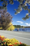 blossom;bright;colorful;colourful;Fiordland;flower;flowers;garden;gardens;lake;Lake-Te-Anau;lakes;lakeside;New-Zealand;red;road;roads;South-Island;southland;spring;te-anau;waterfront;yellow