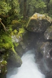 brook;brooks;creek;creeks;fiordland;Fiordland-N.P;fiordland-national-park;flow;milford-road;n.z.;national-park;National-parks;new-zealand;nz;S.I.;SI;South-Island;South-West-New-Zealand-World-Her;Southland;stream;streams;te-wahipounamu;te-wahipounamu-south_west-new;The-Chasm;water;waterfall;waterfalls;wet;white-water;Whitewater;world-heirtage-site;world-heritage-area