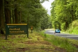 automobile;automobiles;beautiful;beauty;Beech-Forest;bend;bends;bush;car;cars;corner;corners;driving;endemic;fiordland;Fiordland-N.P;fiordland-national-park;Fiordland-NP;forest;forests;glade;green;highway;highways;lush;milford-road;moss;mosses;n.z.;national-park;National-parks;native;native-bush;natives;natural;nature;new-zealand;Nothofagus;nz;open-road;open-roads;rain-forest;rain-forests;rain_forest;rain_forests;rainforest;rainforests;road;road-trip;roads;S.I.;scene;scenic;SI;sign;signs;South-Island;South-West-New-Zealand-World-Her;southern-beeches;Southland;te-wahipounamu;te-wahipounamu-south_west-new;timber;tranportation;transport;transportation;travel;traveling;travelling;tree;tree-trunk;tree-trunks;trees;trip;Trips;trunk;trunks;vehicle;vehicles;verdant;wood;woods;world-heirtage-site;world-heritage-area