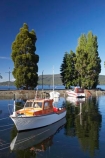 Bluegum-Point;boat;boats;calm;calmness;cruise;cruises;Fiordland;harbor;harbors;harbour;harbours;hull;hulls;lake;Lake-Te-Anau;lakes;launch;launches;marina;marinas;N.Z.;New-Zealand;NZ;peaceful;peacefulness;pleasure-boat;pleasure-boats;reflection;reflections;rescue-boat;rescue-boats;S.I.;SI;South-Island;Southland;still;stillness;Te-Anau;tranquil;tranquility;water;yacht;yachts