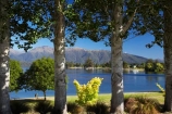 Fiordland;lake;Lake-Te-Anau;lakes;N.Z.;New-Zealand;NZ;S.I.;SI;South-Island;Southland;Te-Anau;tre-trunk;tree;tree-trunks;trees
