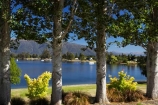 Fiordland;lake;Lake-Te-Anau;lakes;N.Z.;New-Zealand;NZ;S.I.;SI;South-Island;Southland;Te-Anau;tre-trunk;tree;tree-trunks;trees