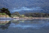 beautiful;beauty;Beech-Forest;bush;coast;coastal;coastline;endemic;fiordland;Fiordland-N.P;Fiordland-National-Park;Fiordland-NP;foreshore;forest;forests;green;island;Milford-Sound;mist;mists;misty;N.Z.;national-park;National-parks;native;native-bush;natives;natural;nature;new;new-zealand;Nothofagus;NZ;o8l9595;rain-forest;rain-forests;rain_forest;rain_forests;rainforest;rainforests;S.I.;scene;scenic;shore;shoreline;SI;south;South-Is.;South-Island;south-west-new-zealand-world-her;southern-beeches;Southland;te-wahipounamu;te-wahipounamu-south_west-new;timber;tree;trees;wood;woods;World-Heritage-Area;World-Heritage-Site;zealand