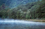 beautiful;beauty;Beech-Forest;bush;calm;coast;coastal;coastline;endemic;fiordland;Fiordland-N.P;Fiordland-National-Park;Fiordland-NP;foreshore;forest;forests;green;island;Milford-Sound;mist;mists;misty;N.Z.;national-park;National-parks;native;native-bush;natives;natural;nature;new;new-zealand;Nothofagus;NZ;o8l9605;placid;Quiet;rain-forest;rain-forests;rain_forest;rain_forests;rainforest;rainforests;reflection;reflections;S.I.;scene;scenic;serene;shore;shoreline;SI;smooth;south;South-Is.;South-Island;south-west-new-zealand-world-her;southern-beeches;Southland;still;te-wahipounamu;te-wahipounamu-south_west-new;timber;tranquil;tree;trees;water;wood;woods;World-Heritage-Area;World-Heritage-Site;zealand