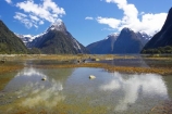 calm;coast;coastal;coastline;fiord;fiordland;Fiordland-N.P;Fiordland-National-Park;Fiordland-NP;Fiords;Fjord;Fjords;island;kb1a5877;milford;milford-sound;mitre;mitre-peak;mountain;mountain-peak;mountains;N.Z.;national;national-park;National-parks;new;new-zealand;NZ;park;peak;peaks;placid;Quiet;reflection;reflections;S.I.;serene;SI;smooth;snow;snow-capped;snow_capped;snowcapped;sound;sounds;south;South-Is.;South-Island;south-west-new-zealand-world-her;Southland;still;summit;summits;te-wahipounamu;te-wahipounamu-south_west-new;tranquil;water;World-Heritage-Area;World-Heritage-Site;zealand