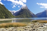 Fiordland inc Milford Sound