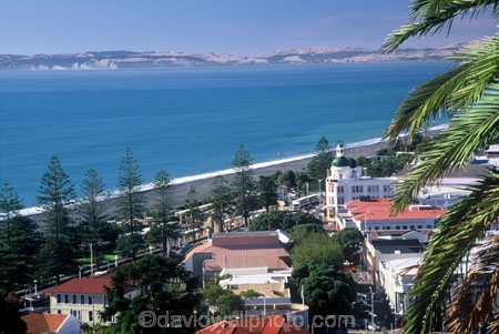 coast;coastal;coastline;shore;shoreline;beach;beaches;black-sand;sea;ocean;pacific;city;cities;palm;palm-tree;palms