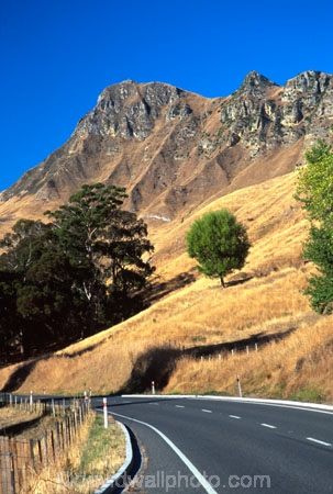 countryside;pastoral;field;fields;meadow;meadows;tree;bush;peaks;hills;mountains;nature;road;roads;curve;curving