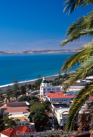 coast;coastal;coastline;shore;shoreline;sea;ocean;pacific;city;cities;palm;palm-tree;palms