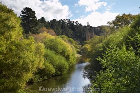 autuminal;autumn;autumn-colour;autumn-colours;autumnal;color;colors;colour;colours;deciduous;fall;Hawkes-Bay;Mangaone-River;N.I.;N.Z.;Napier;New-Zealand;NI;North-Island;NZ;river;rivers;season;seasonal;seasons;tree;trees;willow;willow-tree;willow-trees;willows