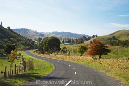agricultural;agriculture;autuminal;autumn;autumn-colour;autumn-colours;autumnal;Bay-View;bend;bends;centre-line;centre-lines;centre_line;centre_lines;centreline;centrelines;color;colors;colour;colours;corner;corners;country;countryside;deciduous;driving;fall;farm;farming;farmland;farms;field;fields;Hawkes-Bay;highway;highways;meadow;meadows;N.I.;N.Z.;Napier;New-Zealand;NI;North-Island;NZ;open-road;open-roads;paddock;paddocks;pasture;pastures;road;road-trip;roads;rural;season;seasonal;seasons;transport;transportation;travel;traveling;travelling;tree;trees;trip